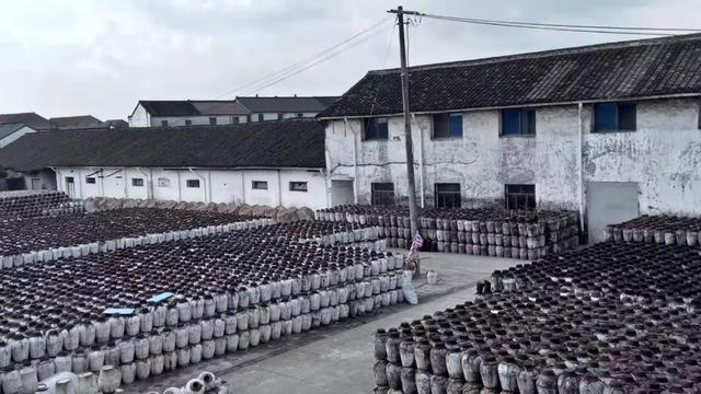 晦澀難以下咽的黃酒，在這樣的包裝面前都變得有趣了