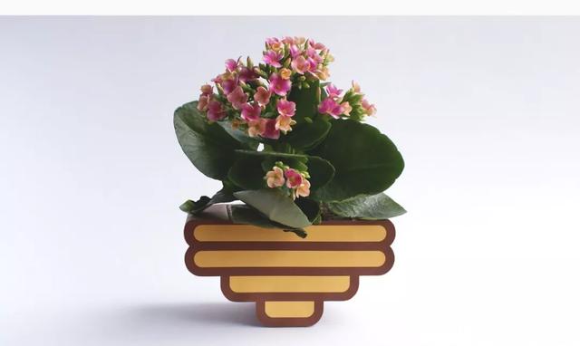 蜂蜜包裝設(shè)計(jì)，瓶型創(chuàng)意和安全很重要
