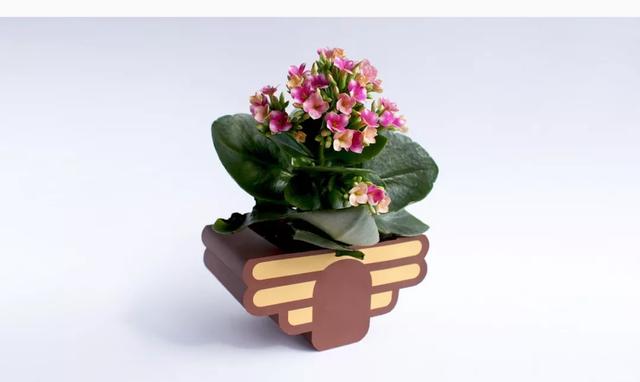 蜂蜜包裝設(shè)計(jì)，瓶型創(chuàng)意和安全很重要