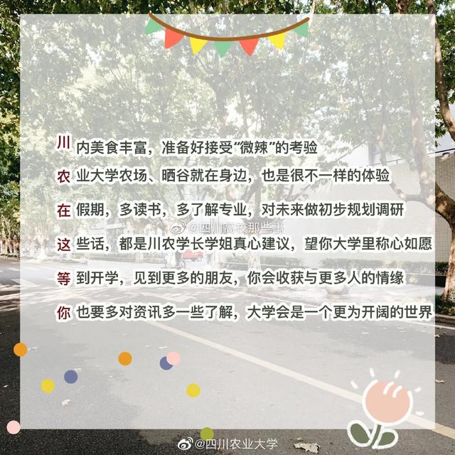 高考分?jǐn)?shù)出來了，高校的招生藏頭詩太有意思了